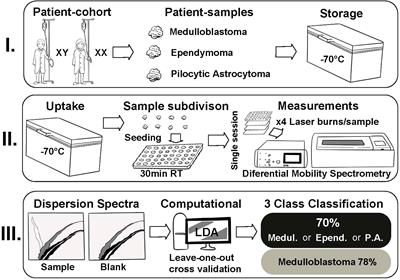 Rapid identification of pediatric brain tumors with differential mobility spectrometry